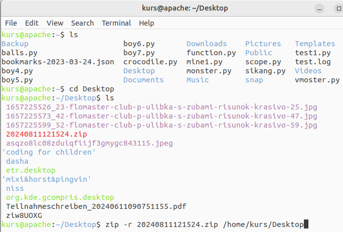 Screenshot_ls_cd.png